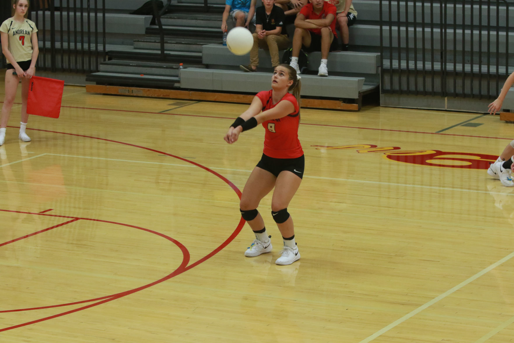 Gallery: Girls volleyball - Wheeler at Andrean